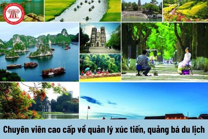 Xu hướng Hé lộ hậu trường siêu nhạc: Hotspot Matrix tiết lộ bí quyết video viral