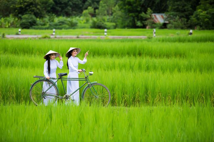Victoria Beckham lên chức - Cảm hứng video marketing từ Hotspot Matrix
