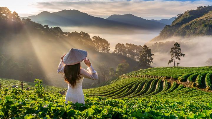 Học tiếng Anh và tìm thấy tình yêu: Câu chuyện của chị An và anh David