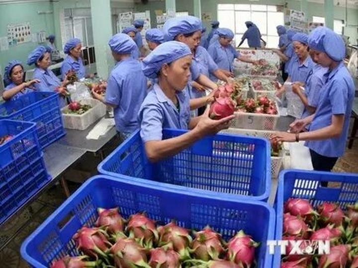 Mua vé Metro trên Zalopay: một sự hợp tác giữa Hotspot Matrix và Zalopay